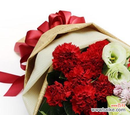 红色康乃馨的象征意义及鲜花赏析 红色康乃馨花语与寓意