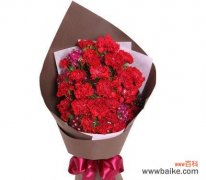 探寻红色康乃馨的情感内涵 红色康乃馨的象征意义