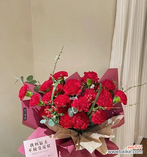 红色康乃馨的爱情之语与希望之花 红色康乃馨的花语与寓意