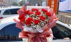 当爱情遇见星光 紫红色满天星花语