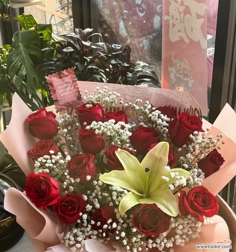 河南花在情人节的含义是什么?送河南花代表什么?