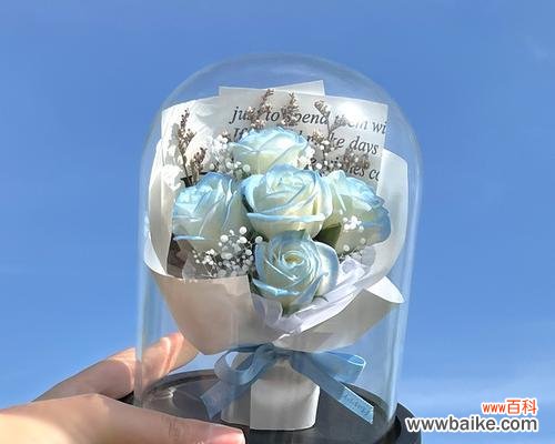 蓝色妖姬永生花代表了什么？它的花语和寓意是什么？