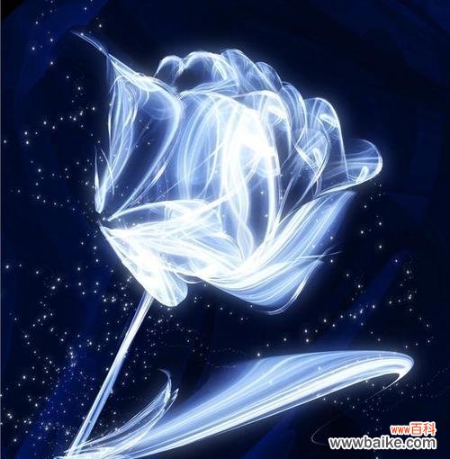 蓝色妖姬永生花代表了什么？它的花语和寓意是什么？