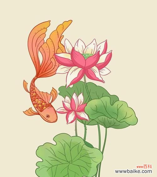 送老人花和鱼的寓意好吗?有哪些吉祥的组合推荐?