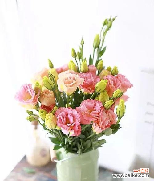 解读洋桔梗的花语,传递深刻寓意 洋桔梗花语之美与寓意