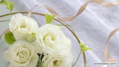 洋桔梗花的深刻含义和象征 洋桔梗花语与寓意