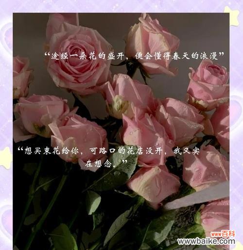 四朵花背后的浪漫寓意是什么？四朵花象征着什么浪漫意义？