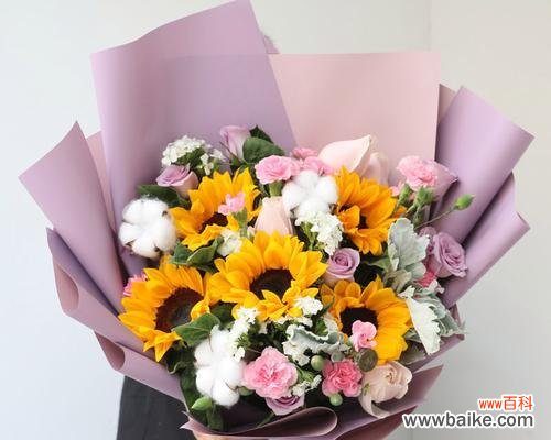 教师节送花有何寓意?教师节应该选择哪种花?