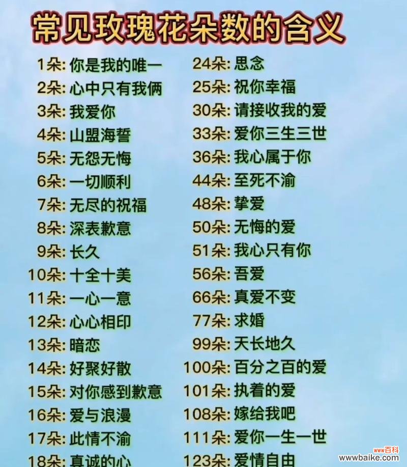 情人节花的数量和含义是什么？不同数量代表什么？