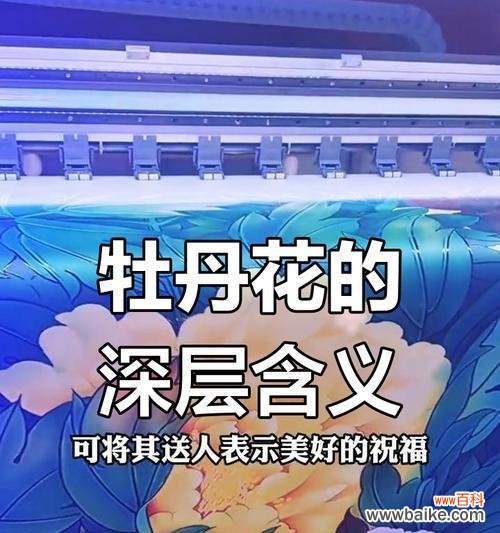 五种颜色的花各自代表什么含义?不同颜色花的象征意义是什么?