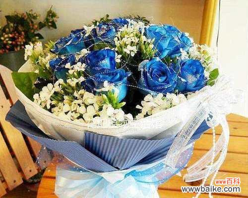 深入探索蓝玫瑰所代表的含义和象征 蓝玫瑰的神秘之意