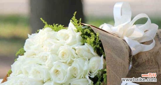 纯洁与无瑕的象征——白玫瑰 一束白玫瑰的寓意与象征