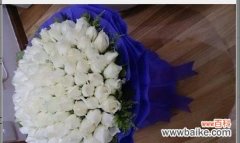 纯洁与无瑕的象征——白玫瑰 一束白玫瑰的寓意与象征