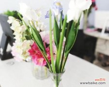 以花传情，美好无限 以鸢尾花的寓意送给合适的人