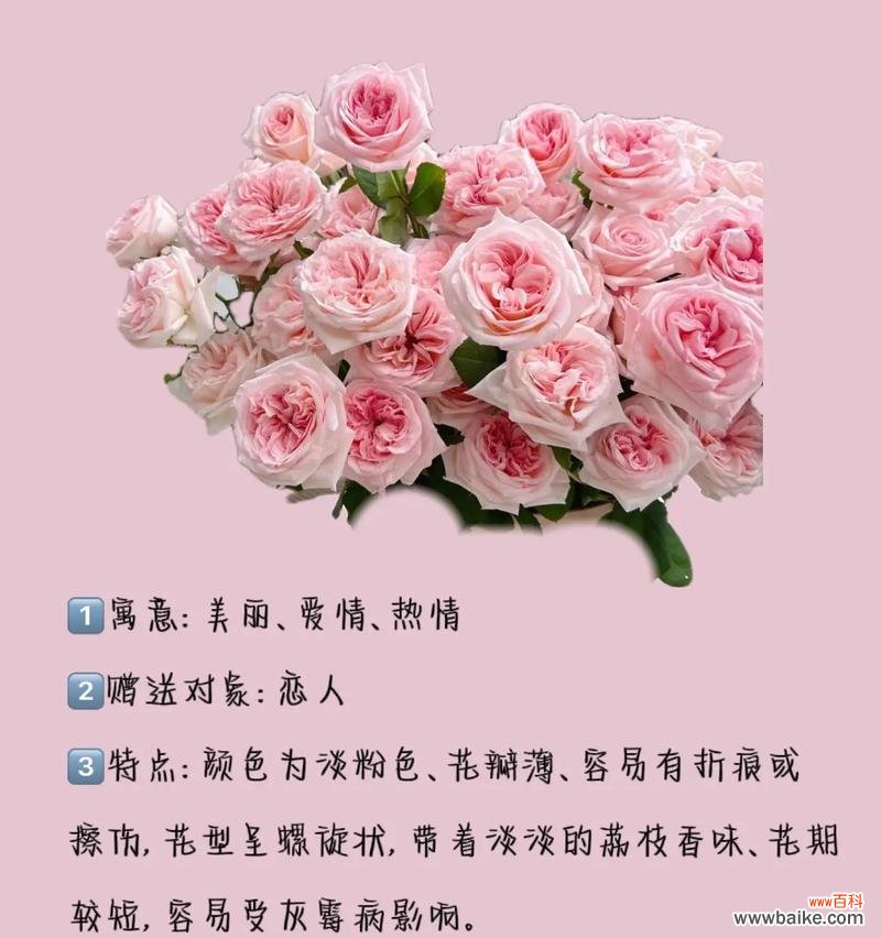 蓝色与粉色花朵各自代表什么花语?
