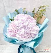 蓝色与粉色花朵各自代表什么花语？