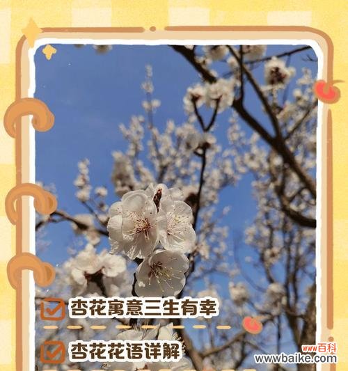 如何用简短的花语表达浪漫？浪漫的花语有哪些？