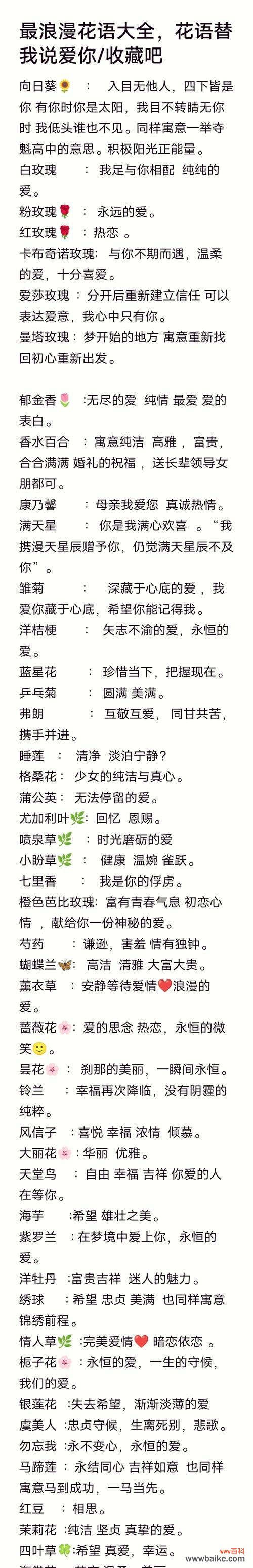 花语和花落如何表达浪漫?