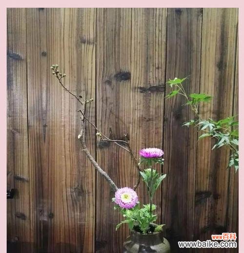 传统花艺有哪些意义?花艺的文化内涵是什么?