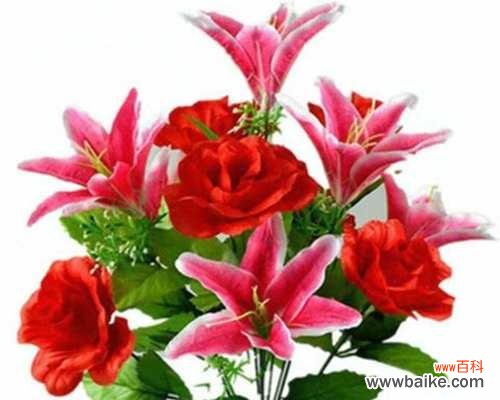 了解花卉分类有助于培养绿色生活习惯 花卉分类的意义及方法