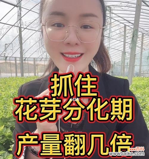 揭开花芽分化的代表意思 探索植物花芽分化的奥秘