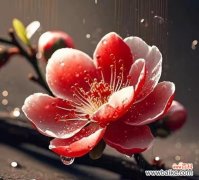 山上红色的花象征着什么？红色花朵在自然界中的寓意是什么？