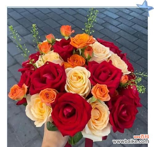 毛巾制作手捧花有何寓意?毛巾手捧花象征着什么?