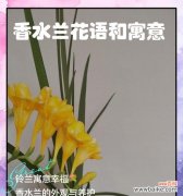哪种花寓意爱情美满幸福？它的花语是什么？