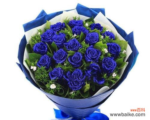 蓝色花语代表什么？蓝色心语花的寓意是什么？