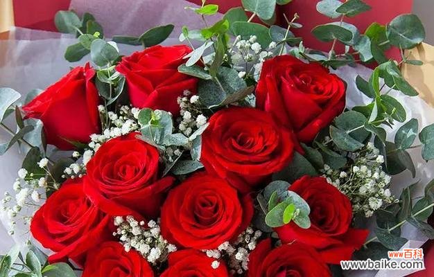 哪种花象征爱情的萌芽?象征爱情萌芽的花香是什么?