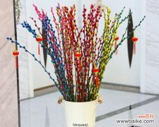 探索银柳花的深刻内涵与独特魅力 银柳花