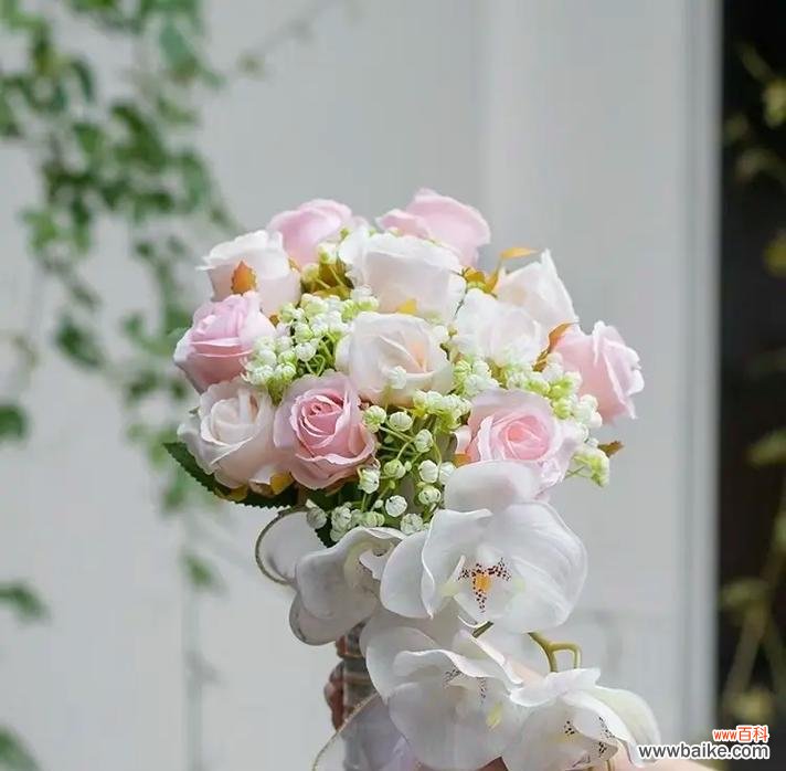 送手捧花牵绳子的寓意是什么?手捧花牵绳子的花语有哪些?