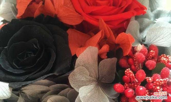 揭示永生花花语的神秘面纱 永生花的花语及其寓意