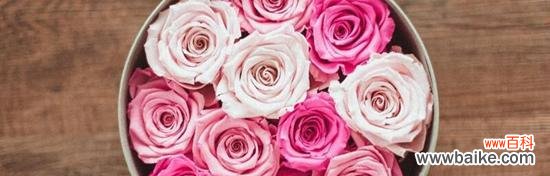 揭示永生花花语的神秘面纱 永生花的花语及其寓意