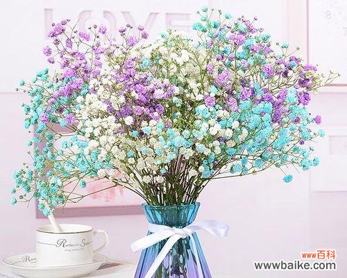 揭示永生花花语的神秘面纱 永生花的花语及其寓意