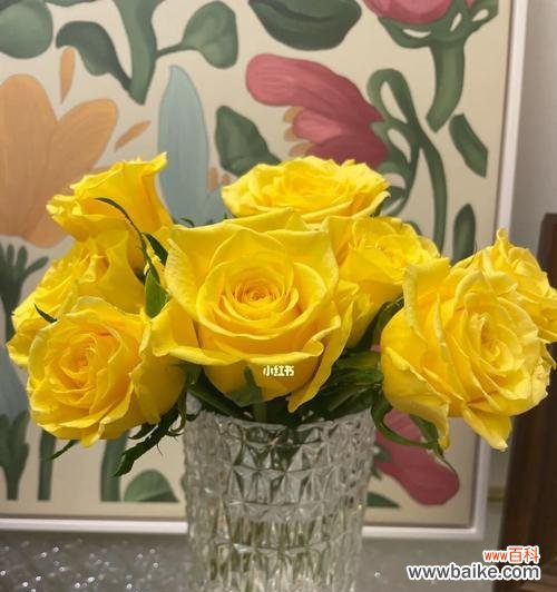 探寻黄玫瑰的特殊含义 黄玫瑰的代表意思与象征——黄色花朵的美好寓意