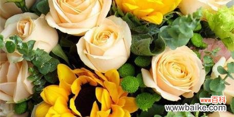揭秘黄玫瑰所传递的情感和内涵 黄玫瑰的花语与象征意义