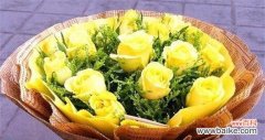 用黄玫瑰传递真诚与友谊 黄玫瑰的花语与寓意——阳光与忠诚