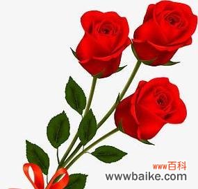 三朵粉色玫瑰花代表什么?粉色玫瑰花的寓意是什么?