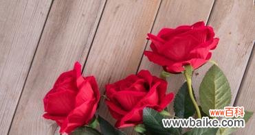 三朵粉色玫瑰花代表什么?粉色玫瑰花的寓意是什么?