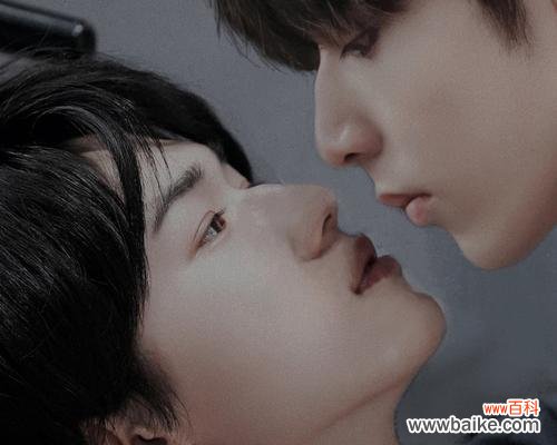 哪些花象征文轩爱情?寓意文轩爱情的花有哪些?