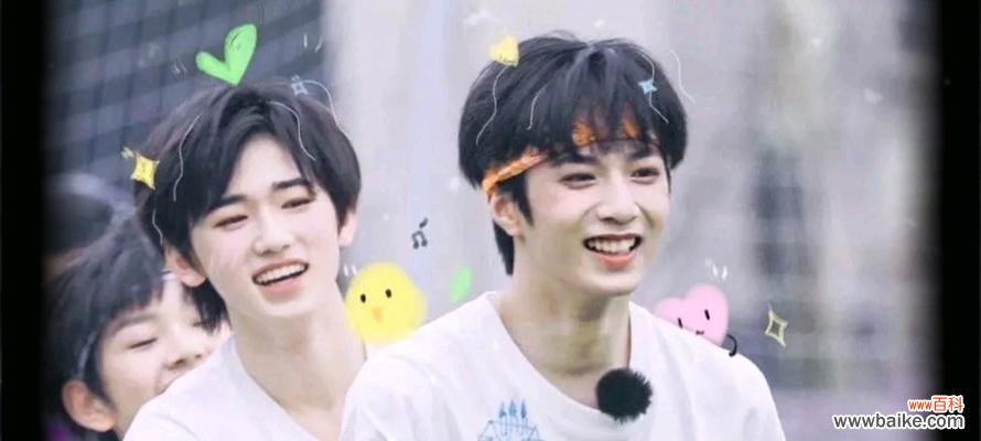 哪些花象征文轩爱情?寓意文轩爱情的花有哪些?