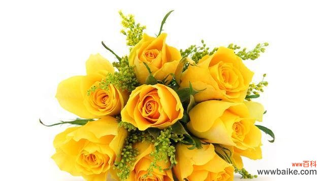 探寻黄玫瑰所代表的情感和意义 黄玫瑰的象征意义