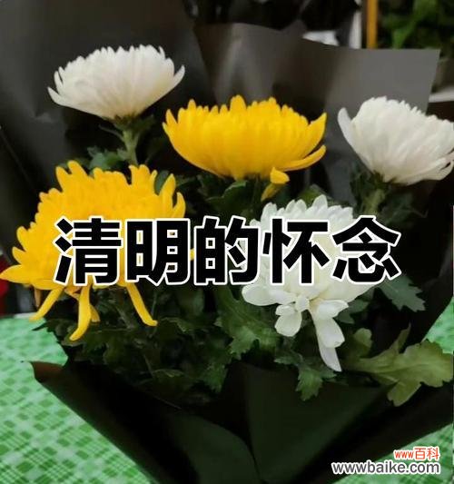 扫墓时用黄色花有什么含义?黄色花在扫墓中的寓意是什么?