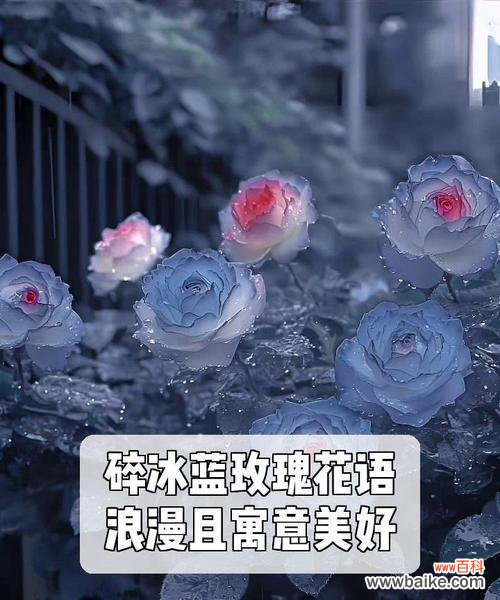 浪漫花语具体是什么？花语的浪漫含义是什么？