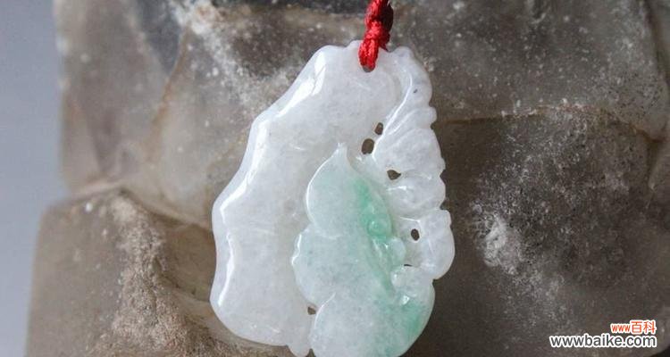 竹节花的寓意和象征是什么?它代表什么?