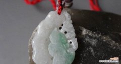 竹节花的寓意和象征是什么？它代表什么？