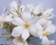 手捧金玫瑰捧花的寓意是什么？什么花的寓意是如意？