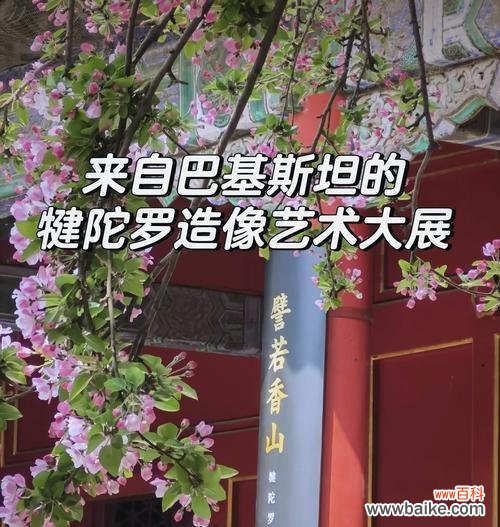 神话里的花有什么寓意?这些花在神话中扮演什么角色?