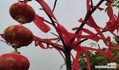 红色花的祈福寓意是什么？哪种红色花代表祈福？